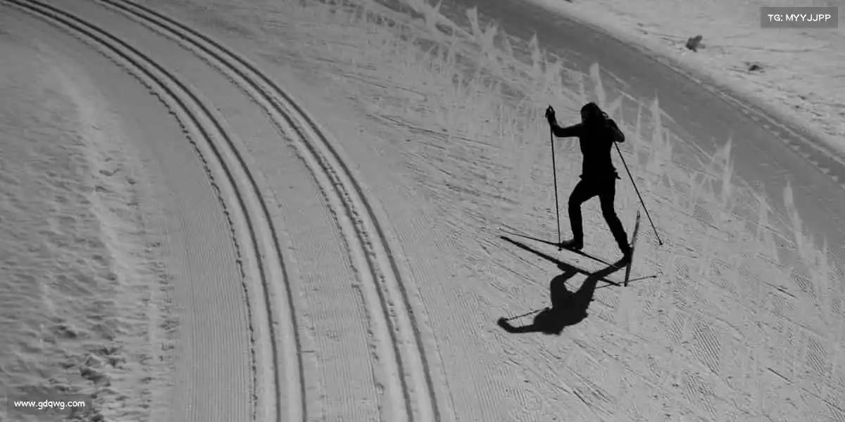 为什么选择我们